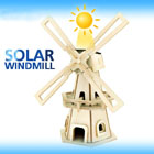 W110 Windmill-1 